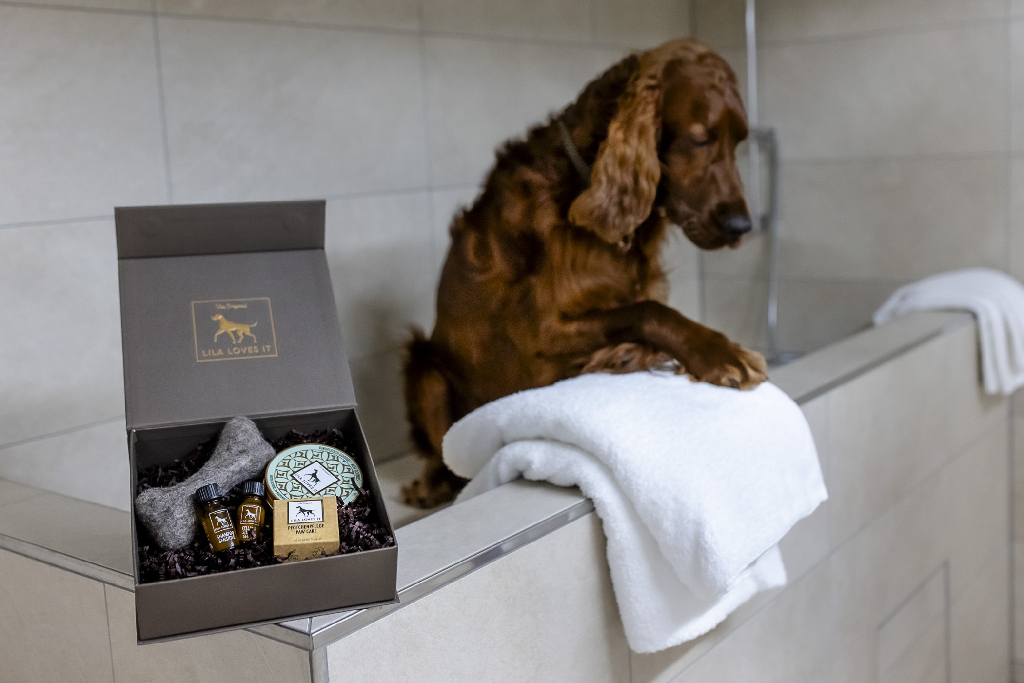 Dog Wash im THE WELLEM Hotel im Andreas Quartier in Düsseldorf