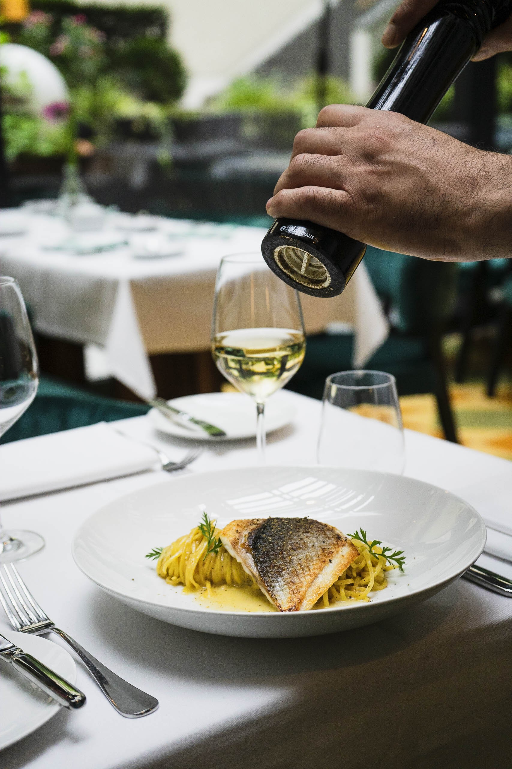 Fischgericht im Restaurant Pitti im Andreas Quartier in Düsseldorf