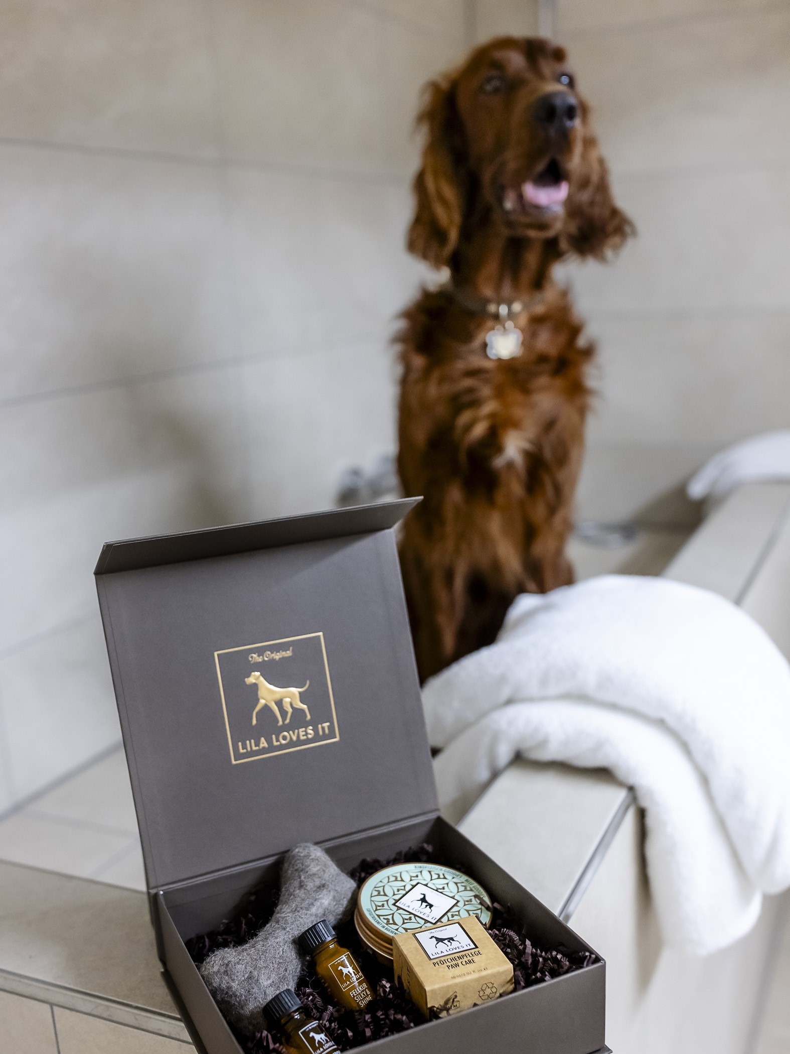 Hund Willkommens Set im The Wellem Hotel im Andreas Quartier Düsseldorf